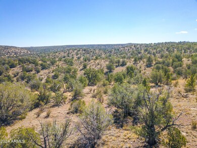 Drone View 6