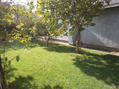 rear yard