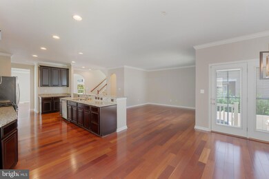 22626 Shining Harness St, Clarksburg, MD 20871 - photo 6