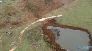 13.9 Acres County Road 429, Fyffe, AL 35971 - photo 3