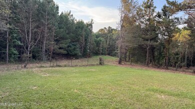 2906 Highway 15, Newton, MS 39345 - photo 4