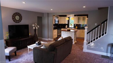 3114 N County Line Rd, Geneva, OH 44041 - photo 5