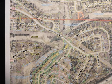 909 Silver Bluff Cir, Ruth C Township, MO 65737 - photo 3