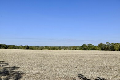 8121 Jefferson Rd, Carroll, OH 43112 - photo 5