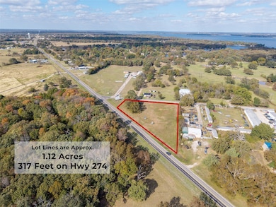 TBD Hwy 274, Kemp, TX 75143 - photo 3