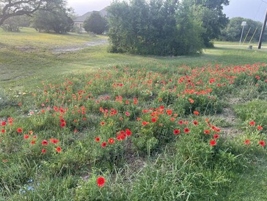 321 Antler Ridge Dr, Azle, TX 76020 - photo 5