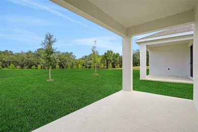 748 Sunshower Dr, Lady Lake, FL 32159 - photo 7