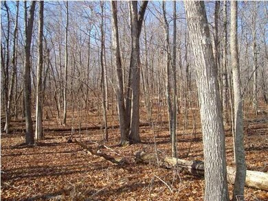 0 Quill Haven Ln unit RTC2913543, Signal Mountain, TN 37377 - photo 4