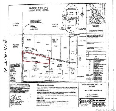 0 Parish Line Rd unit SWL25003460, Grand Lake, LA 70607 - photo 4