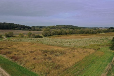 0 County Rd N unit 24131078, Blanchard, WI 53516 - photo 5