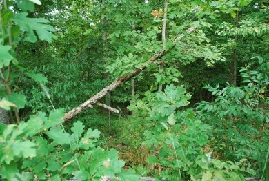 Lot 20 Berkshire Dr, Bella Vista, AR 72714 - photo 3