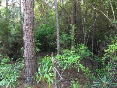 000 Fortenberry Cir, McComb, MS 39648 - photo 3