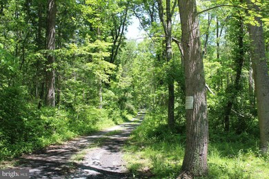 3619 Dry Run Rd, Luray, VA 22835 - photo 7