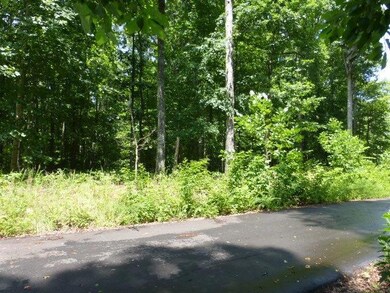 This view is on the way back down the private road toward the main road, so the left hand border starts right after the cul-de-sac.