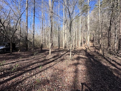 94 Springfield Pkwy, Ellijay, GA 30540 - photo 5