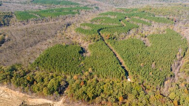 0 Old Highway 18 unit RTC2588334, Stewart, TN 37175 - photo 6