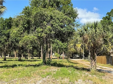 0 Magnolia Ave unit 224058486, Labelle, FL 33935 - photo 4