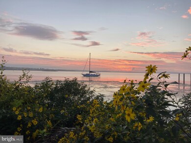 315A Red Head Way unit 61, Havre de Grace, MD 21078 - photo 3