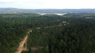 TBD the Plantation Rd, Kirby, AR 71950 - photo 6