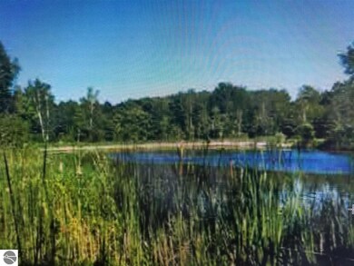 7314 Curtis Rd, Hale, MI 48739 - photo 2