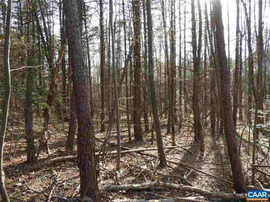 Lot #3 Earlysville Rd, Earlysville, VA 22936 - photo 3