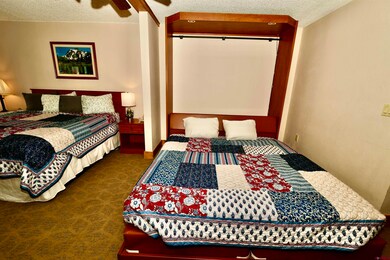 6 Emmons Rd unit 113, Crested Butte, CO 81225 - photo 7