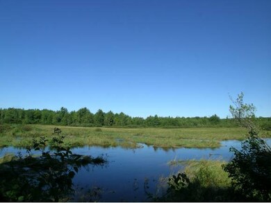 Lot 191.3 Twin Bridge Rd, Weare, NH 03281 - photo 6