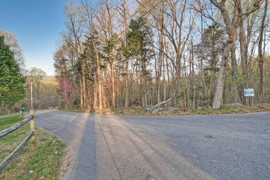 Lot 17 Eagles Nest, Johnson City, TN 37601 - photo 2