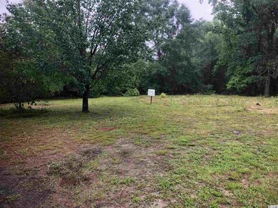 2251 Cane Branch Rd, Loris, SC 29569 - photo 2