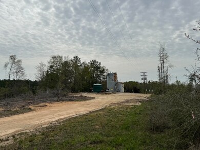 00 Dwan Rd, Ovett, MS 39464 - photo 4