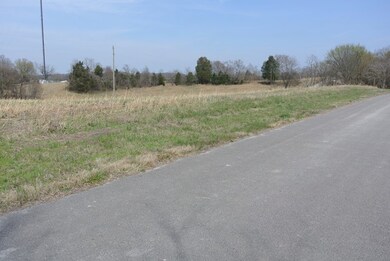 0 Trammel Bend Ln unit 20170961, Alvaton, KY 42103 - photo 4