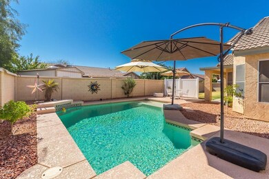 Beautiful Backyard