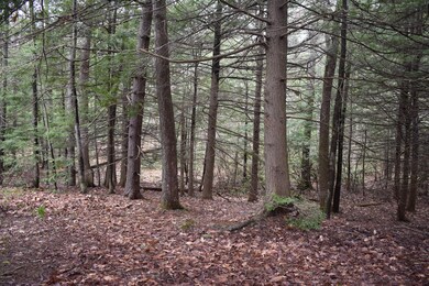 0 Five Mile Meadow Rd, Dingmans Fry, PA 18328 - photo 4