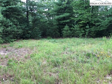 Lot 212 Casey Mountain Rd, Purlear, NC 28665 - photo 7