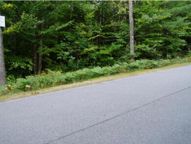 17-21 Beaver, Strafford, NH 03884 - photo 3