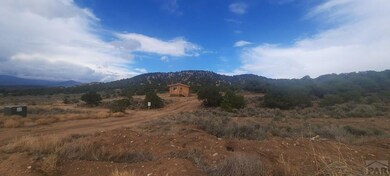 3784 Icehouse Rd, Fort Garland, CO 81133 - photo 3