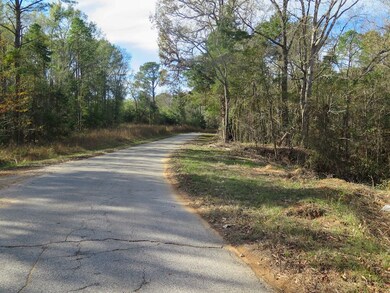 Tbd Burrage Rd unit LotWP001, Enterprise, MS 39330 - photo 6