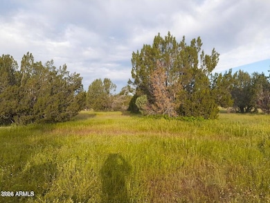 32018 W Calle Ines Pkwy, Seligman, AZ 86337 - photo 2