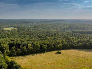 1562 Hadley Mill Rd, Fearrington, NC 27312 - photo 5