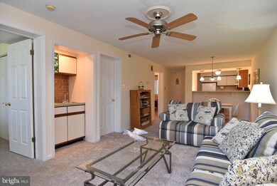 36011 Condo Dr unit A104, Rehoboth Beach, DE 19971 - photo 7