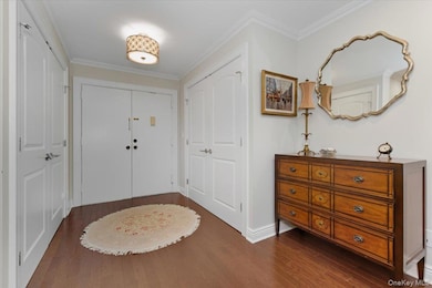 99 S Park Ave unit 311, Rockville Centre, NY 11570 - photo 6