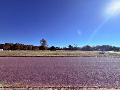 Lot 5 N Port Dr, Monett, MO 65708 - photo 6