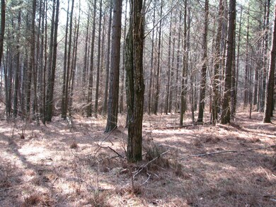 HiPntLn79_fron 1 acre near st_2