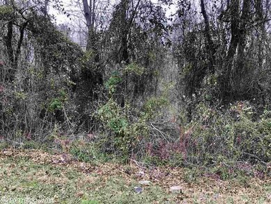 Lot 4 Cummings Ln unit Tract 9A & Tract 22, Texarkana, TX 75501 - photo 2