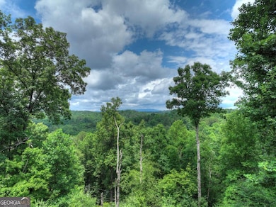 897 Faraday Dr, Ellijay, GA 30540 - photo 2