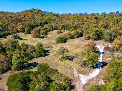 6040 Highway 187, Eureka Springs, AR 72631 - photo 3