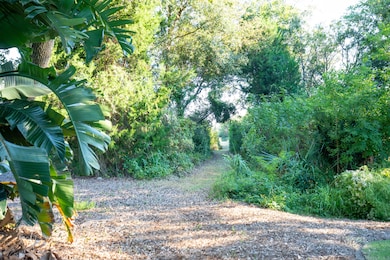 Private Path to Beach Access