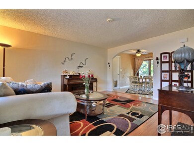 Lots Of Natural Light