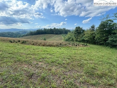 0 Tbd Topia Rd, Piney Creek, NC 28663 - photo 7