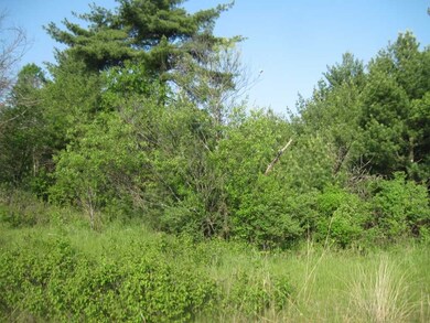 Lot 2 11th Ave, Arkdale, WI 54613 - photo 5